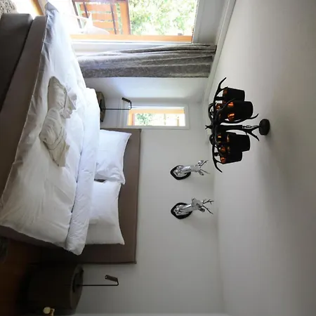 Chateau Appartement-fewo 2-bettwohnung Edelweiss A 2 By Interhome Appartement