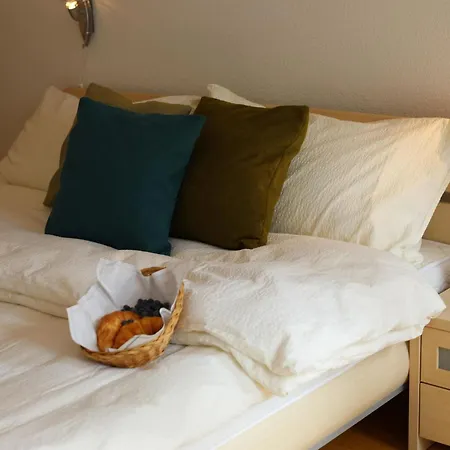 Appartement Chateau Appartement-fewo 2-bettwohnung Edelweiss A 2 By Interhome Saas-Fee